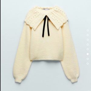 ❣️BNWT❣️Zara cute peals sweater